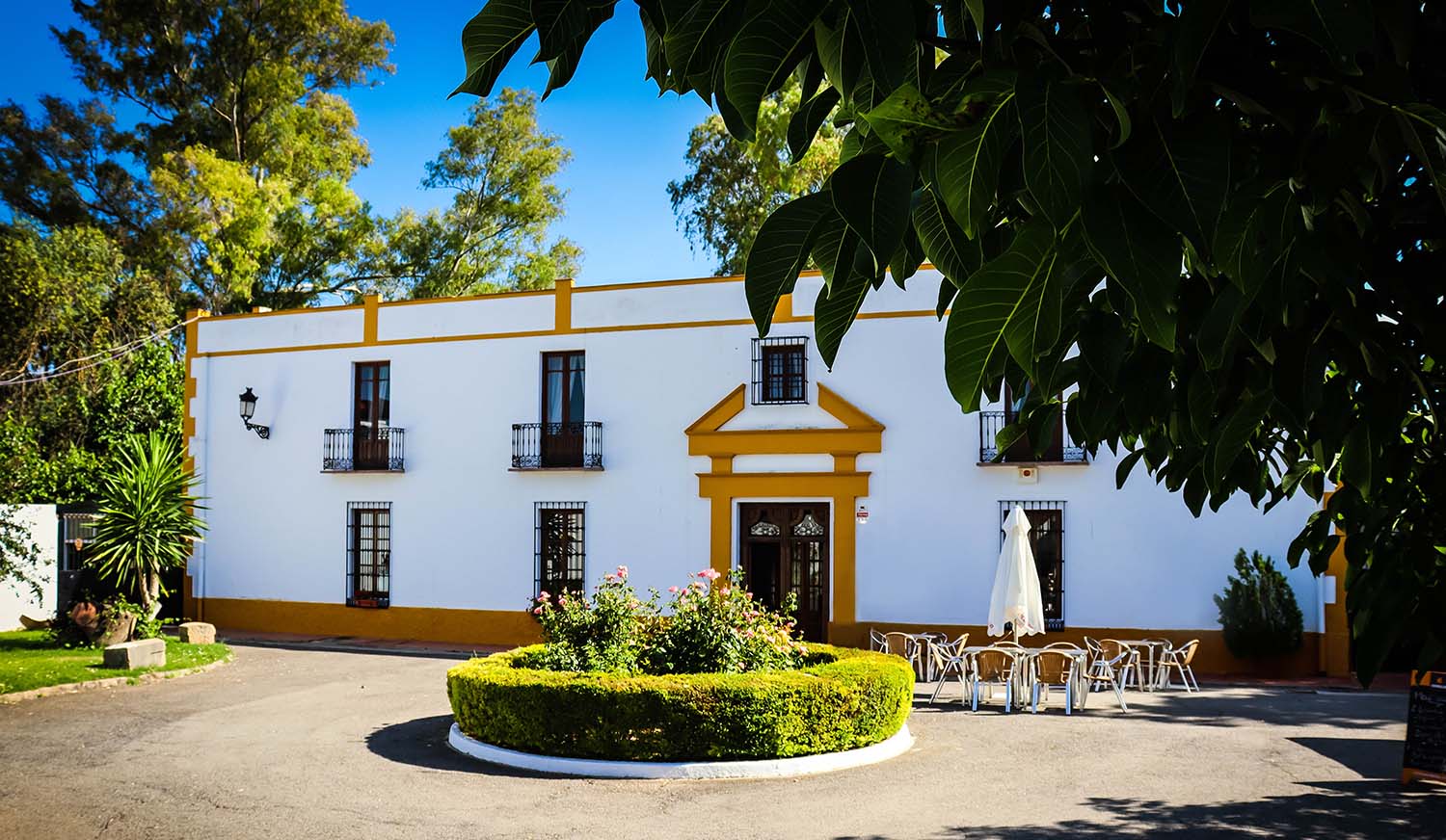 Restaurante el Puente Donde comer se conviente en una experiencia Restaurante el Puente Donde comer se conviente en una experiencia